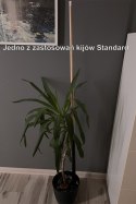 Kij Standard długość od 100 cm do 140 cm