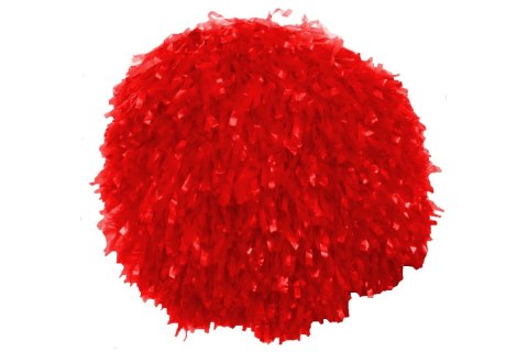 Pompony profesjonalne