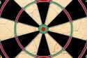 Winmau London 5's - treningowa tarcza sizalowa