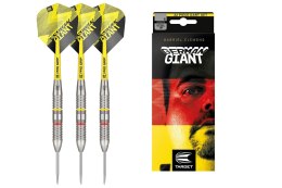 Rzutki Target Gabriel Clemens Brass (steel tip) 22g